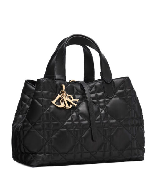 Christian Dior Medium Dior Toujours Bag